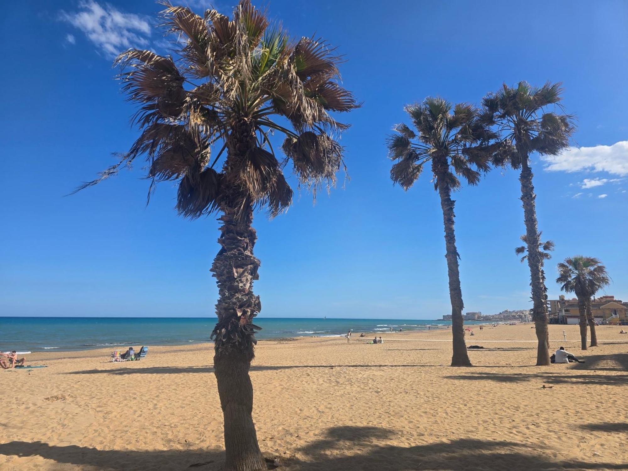 Lovely Apartment Near The Beach In Sunny La Mata Torrevieja Eksteriør billede
